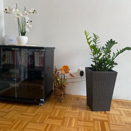 Apartment Miana โตรกีร์ ภายนอก รูปภาพ